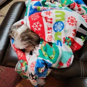 Meet your Posher, Janet